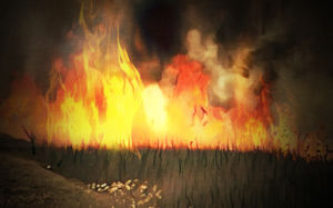 前산불감시원의 일탈…그는 왜 방화를 저질렀나