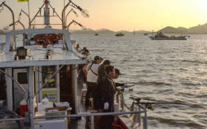 갈치, 3년 연속 낚시어선 어획 1위…작년 어획량도 반등