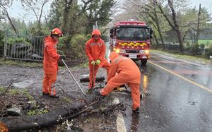 제주 곳곳 호우 피해…항공기 196편 결항