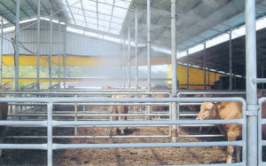 축사 악취 민원 들끓는데…충주시 처분은 8%