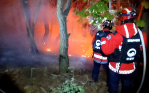 영월 영흥리 산불 2시간여 만에 '주불 완진'