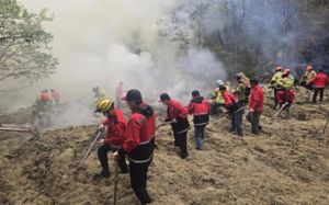 대구 팔공산 불 90분만에 초진…"골프장서 발화"