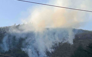 삼척 하장면 산불, 1시간 27분 만에 주불 진화 완료