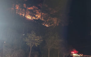 영월서 야간 산불…산림 당국, 가용 자원 총동원