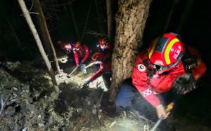 수도·충청권에 산불재난 경보 경계로 상향