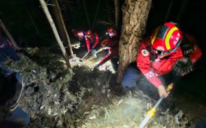 수도·충청권에 산불재난 경보 경계로 상향