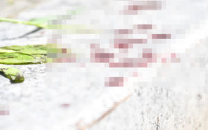 모르는 여고생 살해한 20대, 계획 범죄였나
