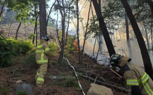 보령서 산불…헬기 2대 등 투입 48분 만에 진화