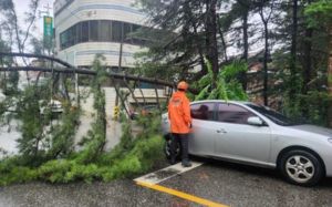강원 200㎜ 폭우…설악산 막히고 단오제 차질