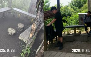 1년만에 계양산 다시 가보니…러브버그 어디로 갔나
