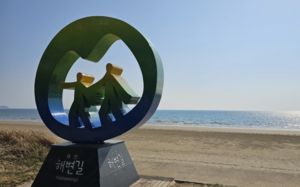 태안 몽산포서 산책 나간 30대 숨진 채 발견