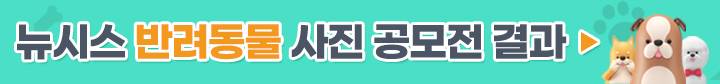 2026년 반려동물 사진 콘테스트