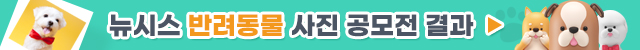 2026년 반려동물 사진 콘테스트